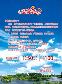 优惠套餐揭秘：直通车特惠的由来
