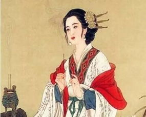 1.2 对比其他三较大美女之别名