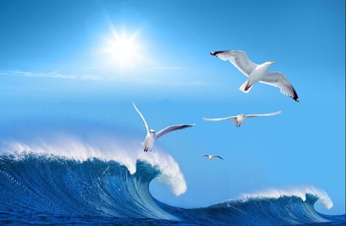 在浩瀚大海中嫩否捞到鱼儿，这梦境有何特殊含义？