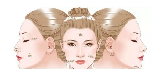 2. 自体脂肪填充技术的机制与风险