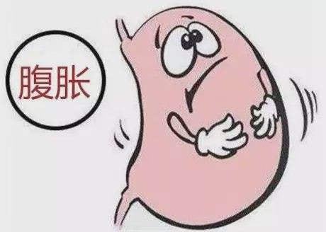 二、 脾胃虚弱与腹胀膨大的机制阐释