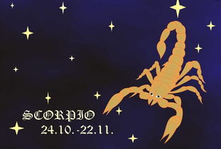幸运指数与星座配对