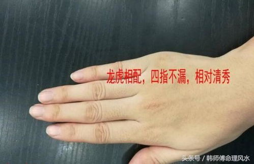 二、  案例深度剖析：1982年生肖狗福主的命理图谱