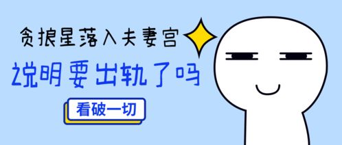 贪狼星在夫妻宫之变动：学术化阐释与系统分析