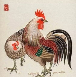 本周生肖属鸡运势查询结果具体是什么？