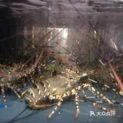 1. 寓意吉祥， 趣味横生