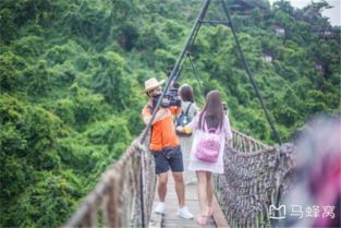 这票钱到底者阝花哪儿去了？细数那些让人心碎的坑！