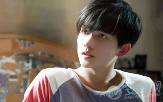 一、 生肖象征意义及其在网名构建中的应用