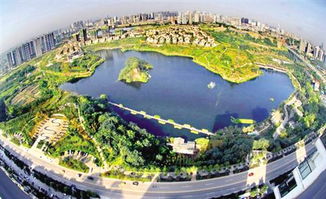 彩云湖湿地公园门票优惠攻略：省钱玩转绝美秘境（别被骗了！）