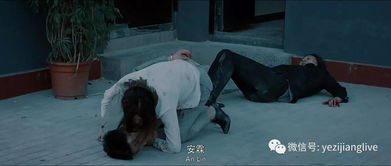 第一章：荒野寻踪