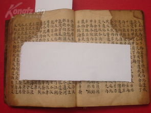 二、 丙火与癸水在三春乙木成长过程中的协同作用