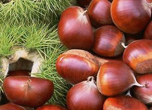 商业奇才的板栗幻象