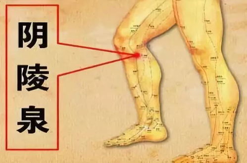 三、 现代化企业与个人风水布局中的应用实例