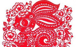 87年属兔男性财运如何，最强招财转运物品是什么？