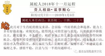 宏观运势总纲：竞争与内耗并存的能量场域