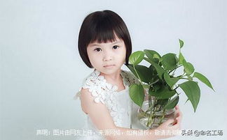 啊啊啊！取名方法也太简单了吧！