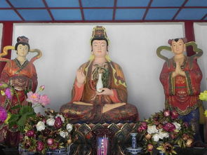 农历每月十九都是观音诞吗？特别是6月19日这个观音诞日？