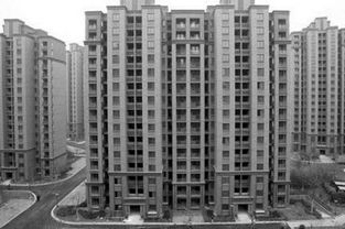 现代城市风水的实践应用