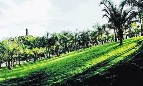 有没有好听顺口的绿化苗木公司名字推荐？