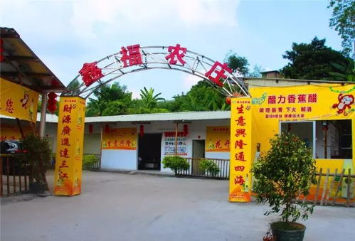 排队现场堪比春运！2026年天气预报说要热死人！