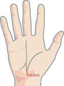 何谓“七相”：概念界定及其内涵