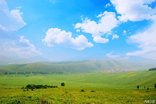 一场说走就走的噩梦：谁动了我的草原梦？