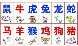 哪个生肖代表志在四方？志在四方是什么生肖的含义？