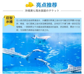 交通简直要人命