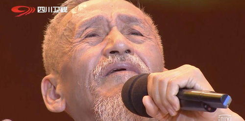 一望无际的生肖是什么？两鬓斑白打一生肖又是哪位？