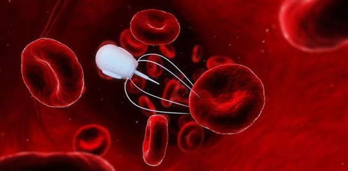 绝了！老祖宗的智慧拯救血液病