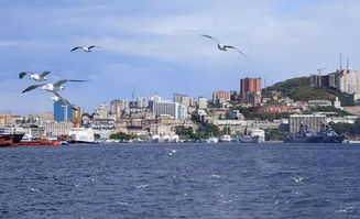 节庆期间的小技巧：