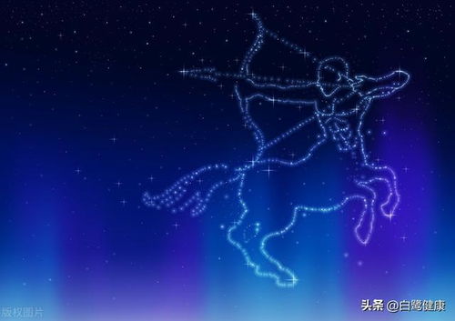 6. 处女座（8月23日-9月22日）：雏菊纯洁无暇