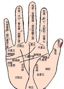 6．先天通灵特征——第六感强化之体现