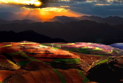 贴秋膘的季节到了不要怕胖哦