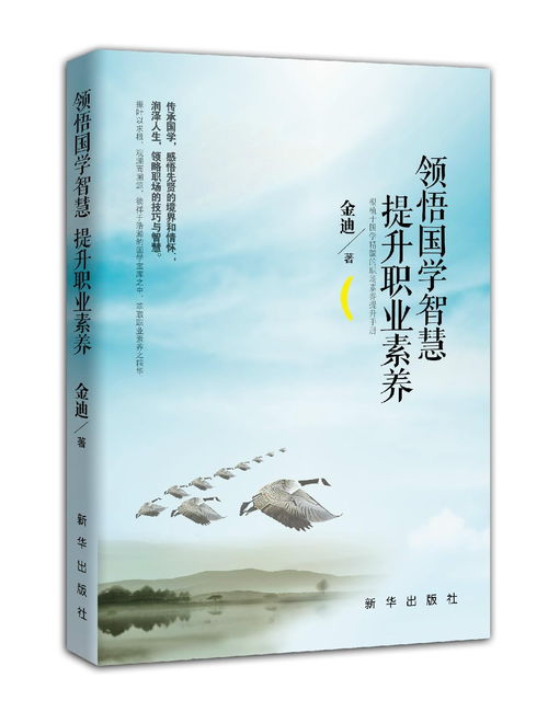 优势概述：互联网环境下的便捷性、 多样性与互动性