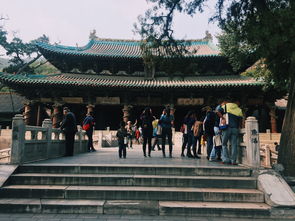 到了晋祠之后：这笔钱花得值不值？