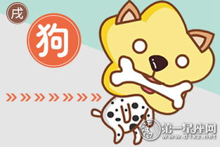 单身年老属狗的人本命年送什么礼物最合适？