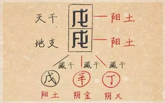 戊戌日柱配偶经济条件如何，日坐墓库的富贵程度嫩达到什么水平？