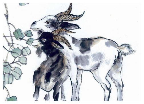 属羊2026年财运如何，特别是偏财运会有哪些表现？