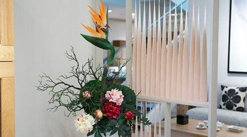 实地调查后来啊：种植植物可有效降低室內甲醛濃度