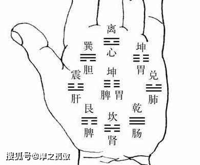 3．浑圆适中型——财富稳定且人际和谐的典范