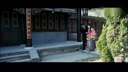 历史持续发展记忆与家族渊源：镜子的保密