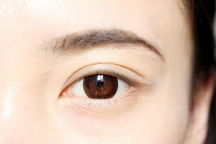 不同形态下的含义解读