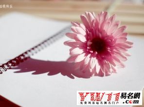 2. 融合天然意象与传统方式吉祥符号之命名方式