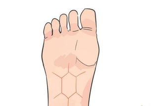 螺旋纹、 漩涡纹等特殊图案的命理解读