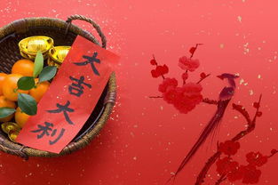 三、 “2011年”姓氏与名字的命理统计解析最终还是结果是