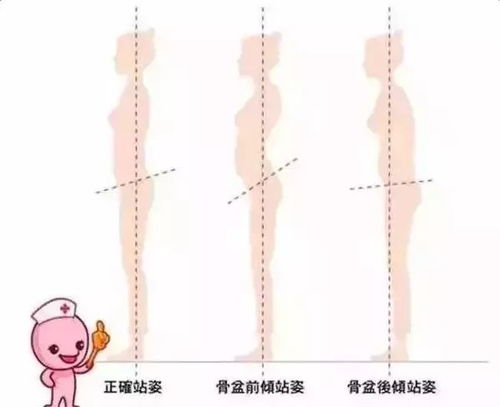 一、  权威与控制欲的体现：双手置于臀部与背后的体相分析