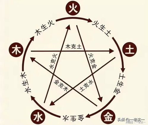 一张姓 五 行 缺 木 名字 推荐