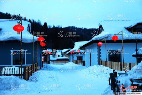 四、 随机噪音段落（玩全没用的信息）