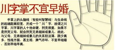（一） 社交参与与人际关系的重构